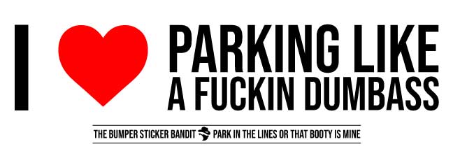 Parking like a dumbass